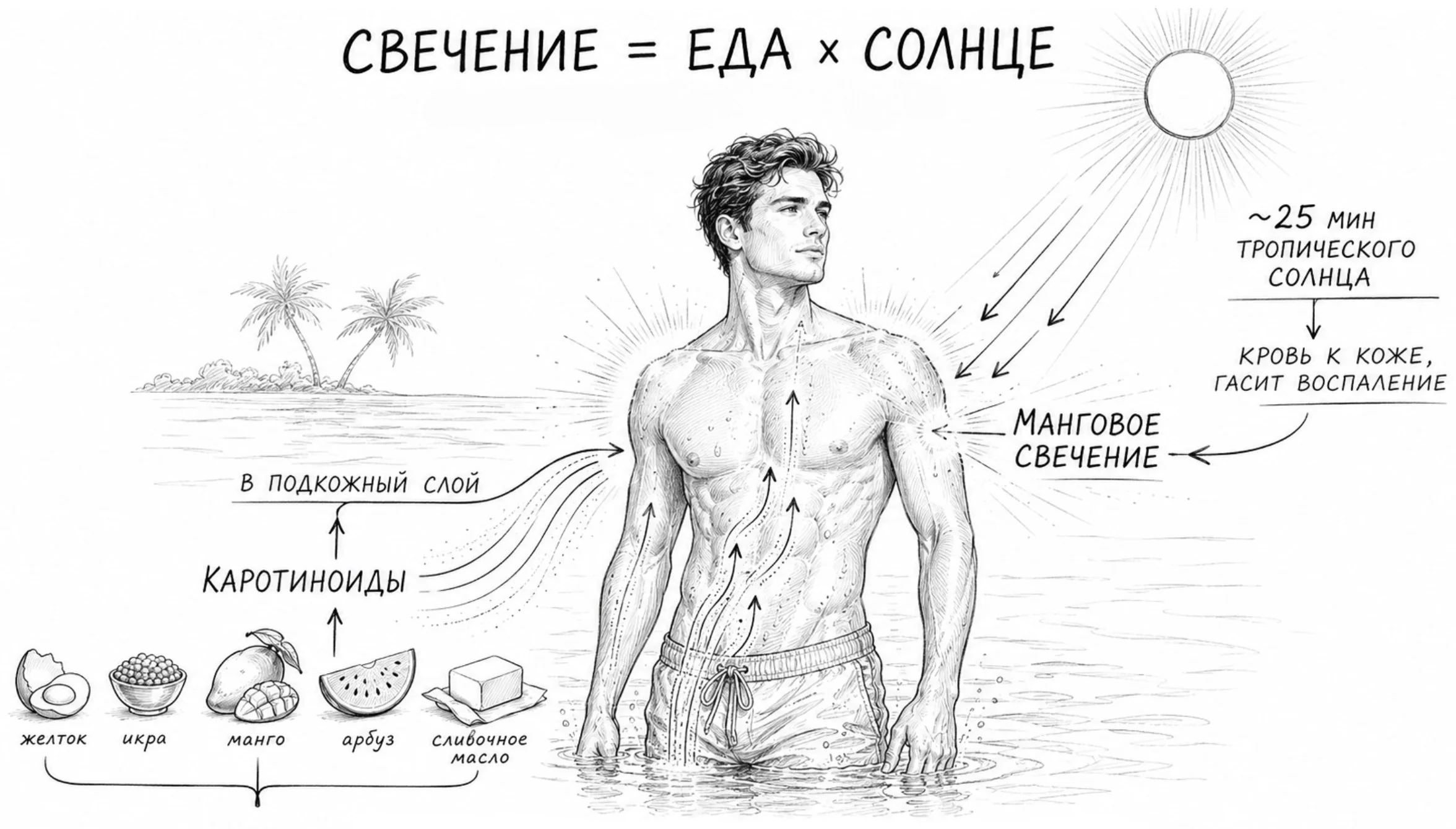 Медовое свечение кожи: каротиноиды из еды работают изнутри, тропическое солнце — снаружи