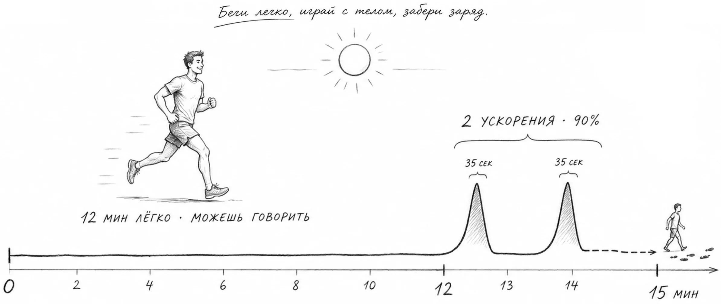 График пятнадцатиминутного бега показывает двенадцать лёгких минут и два ускорения по тридцать пять секунд.
