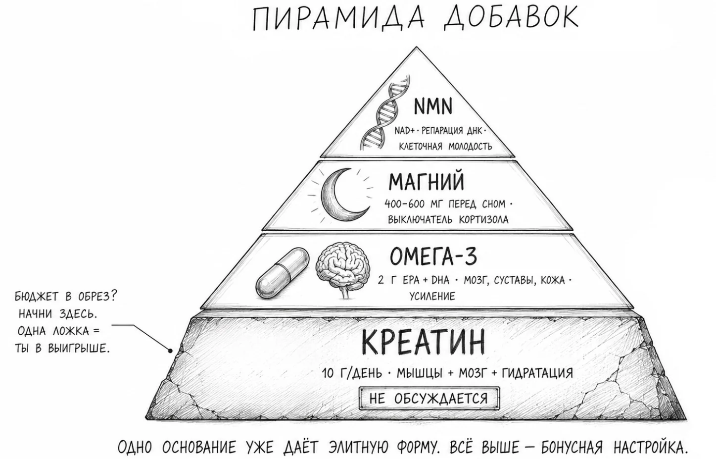 Пирамида добавок: креатин в основании, выше омега-3, магний и NMN.
